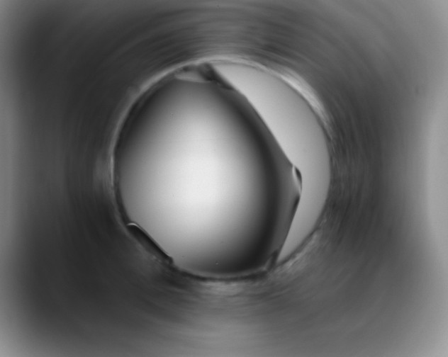 X0000089890996200707192011