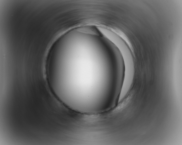 X0000089890997200707192011