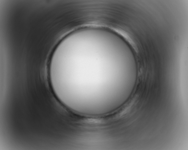 X0000089890998200707192011