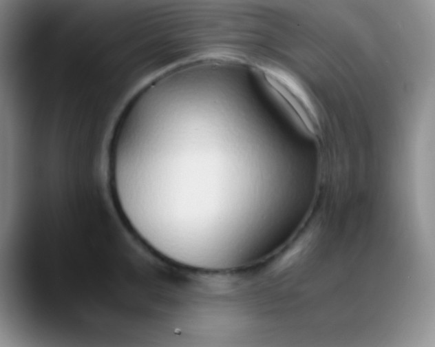 X0000089890999200707192011