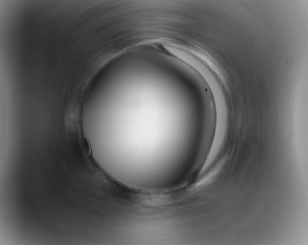 X0000089891001200707192011