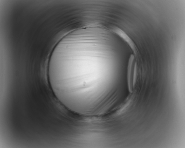 X0000089891002200707192011