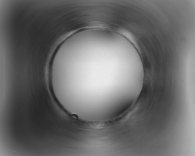 X0000089891003200707192011