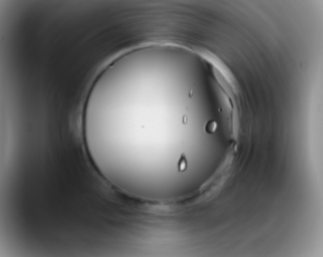 X0000089891004200707192011