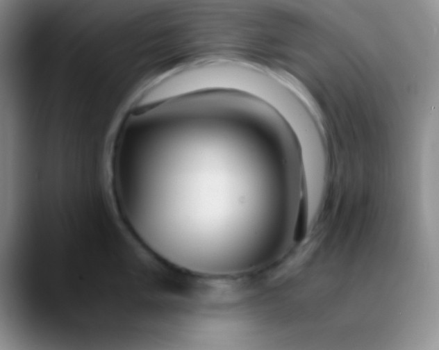 X0000089891005200707192011