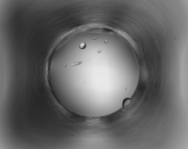 X0000089891006200707192011