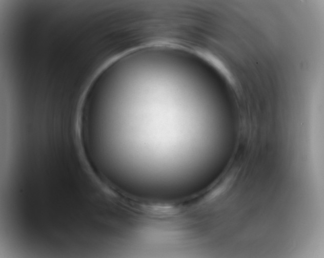 X0000089891007200707192011