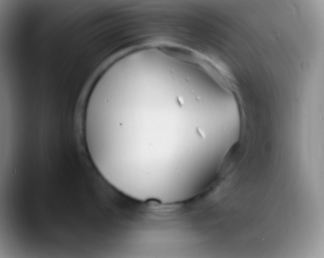 X0000089891008200707192011