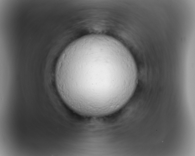 X0000089891009200707192010