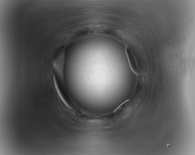 X0000089891010200707192010