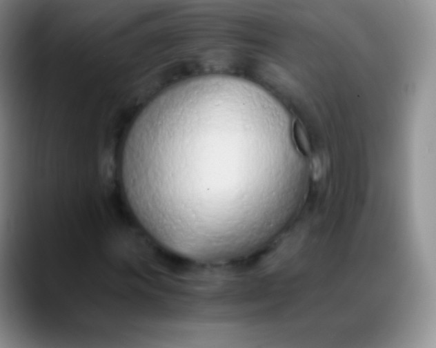 X0000089891011200707192010