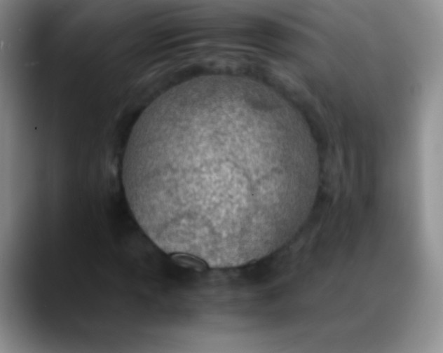 X0000089891013200707192010