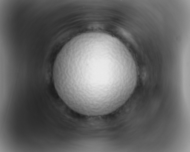 X0000089891015200707192010