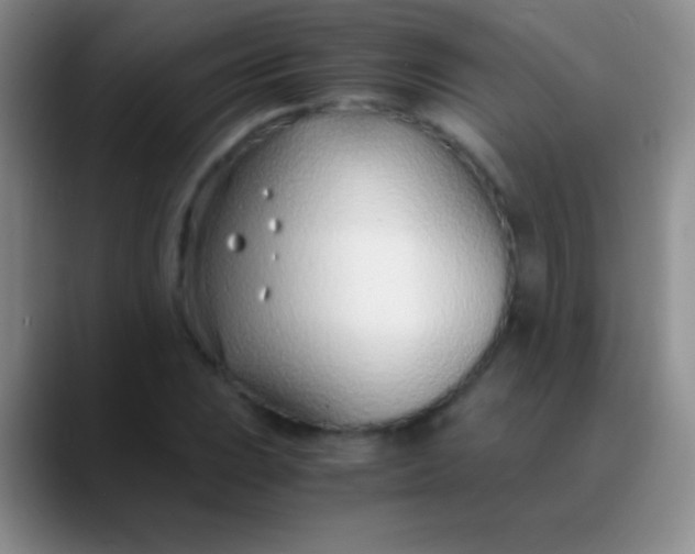 X0000089891023200707192010