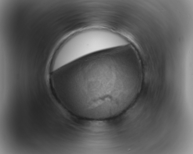 X0000089891024200707192010