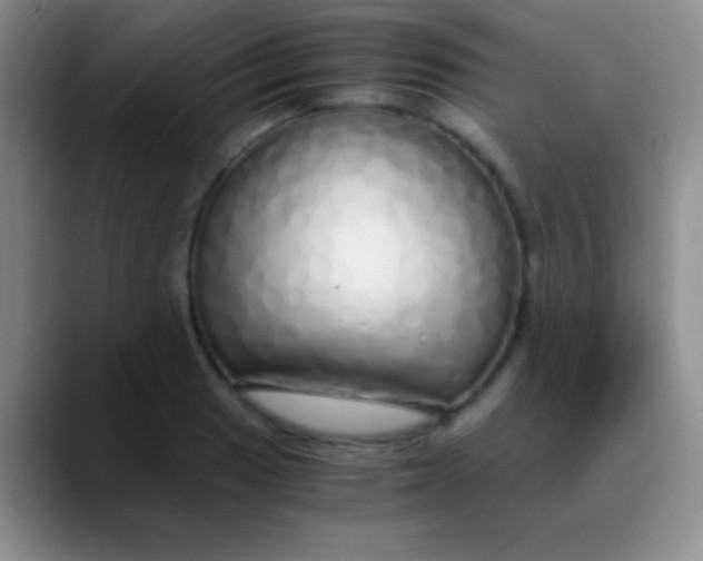 X0000089891033200707192010