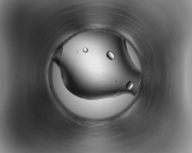 X0000089891034200707192011