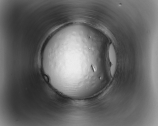 X0000089891036200707192011