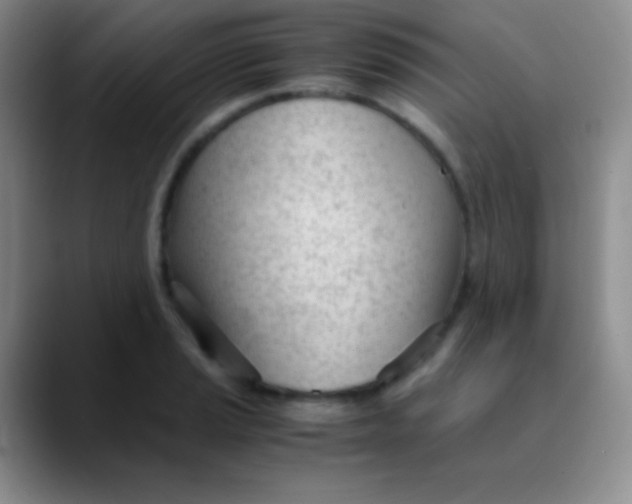 X0000089891037200707192011