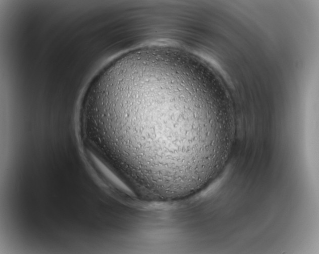 X0000089891038200707192011