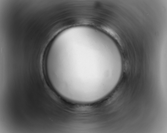 X0000089891039200707192011