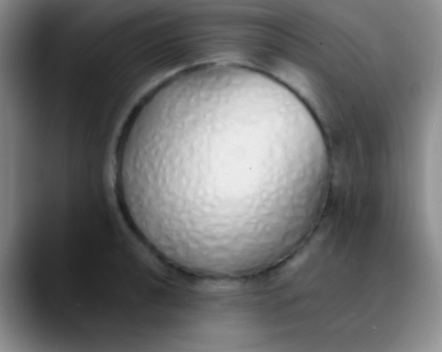 X0000089891040200707192011