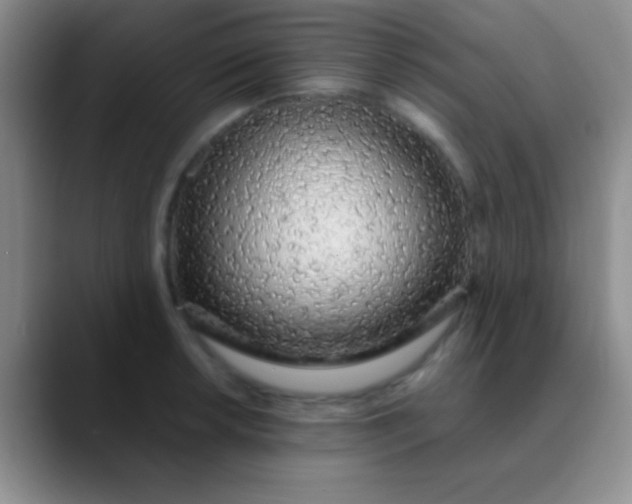 X0000089891042200707192011