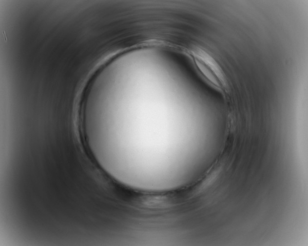 X0000089891043200707192011