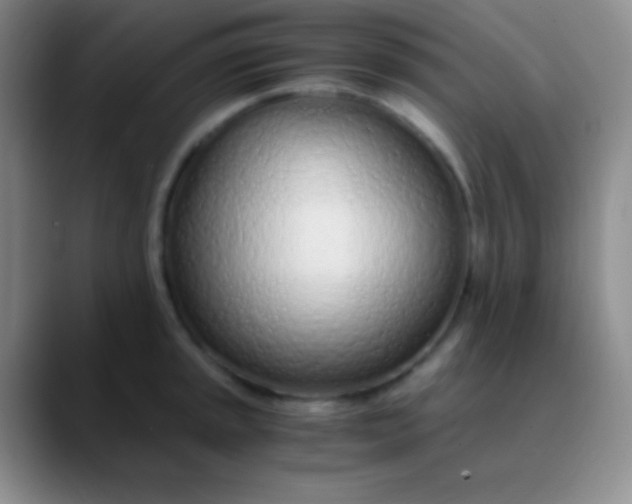 X0000089891045200707192011