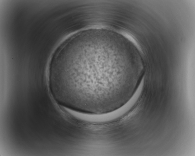 X0000089891046200707192011