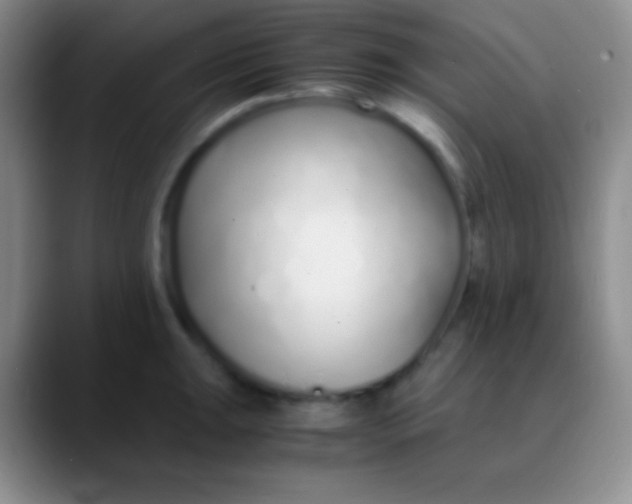 X0000089891047200707192011