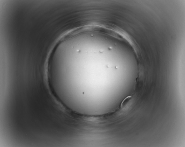 X0000089891048200707192011