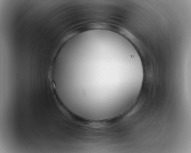 X0000089891049200707192011