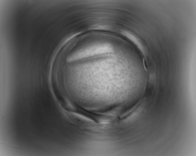 X0000089891050200707192011