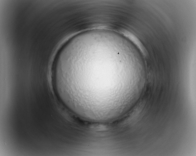 X0000089891051200707192011