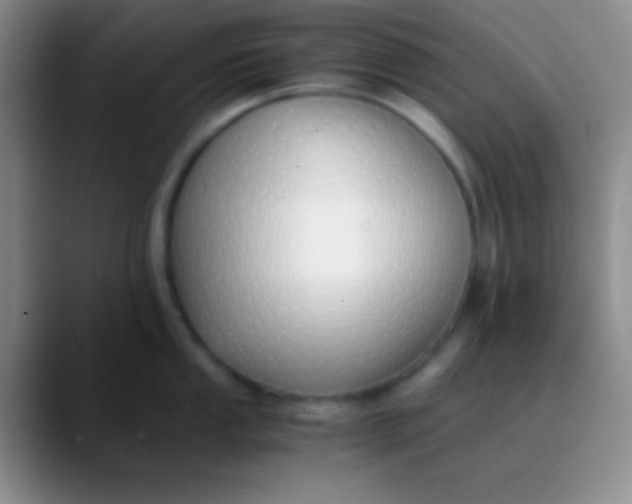 X0000089891053200707192011