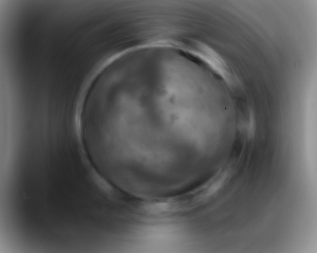 X0000089891054200707192011