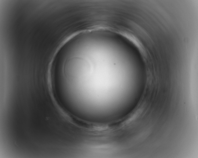 X0000089891055200707192011