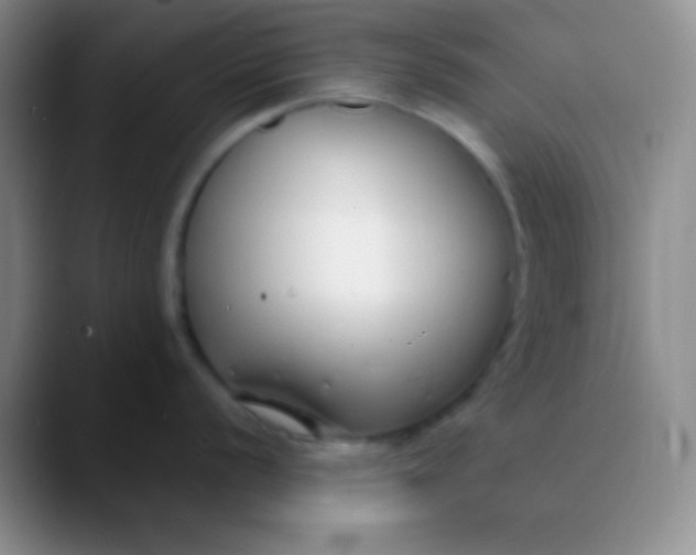 X0000089891056200707192011