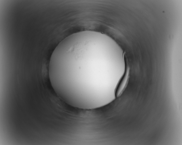 X0000089891058200707192010