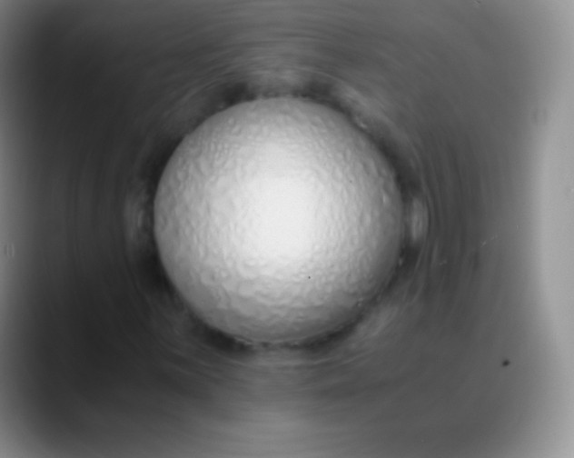 X0000089891059200707192010