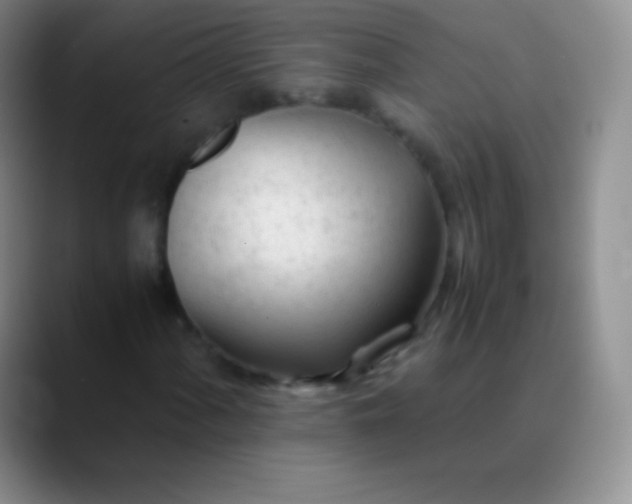 X0000089891060200707192010