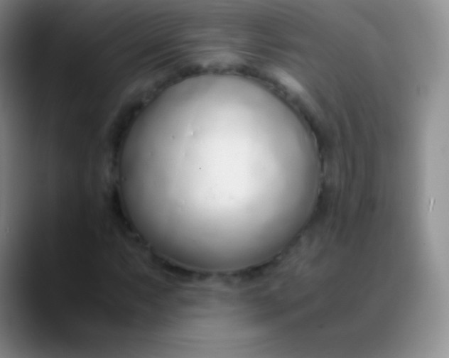 X0000089891063200707192010