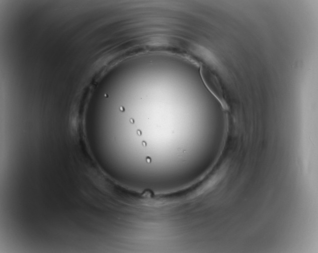 X0000089891065200707192010