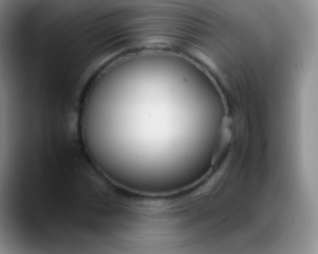 X0000089891066200707192010