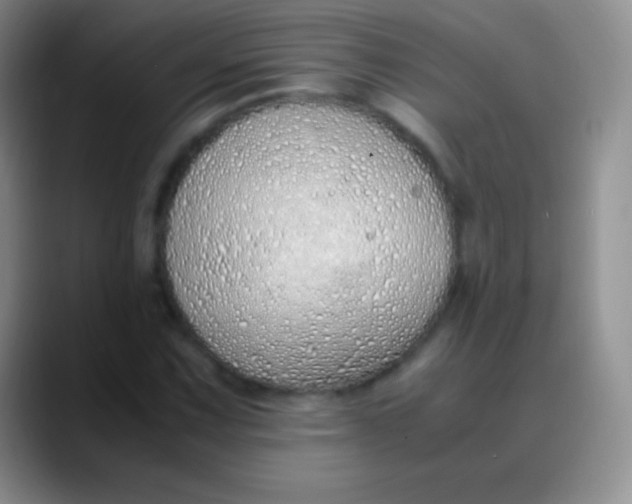 X0000089891067200707192010