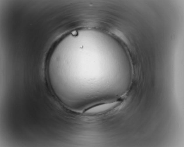 X0000089891071200707192010