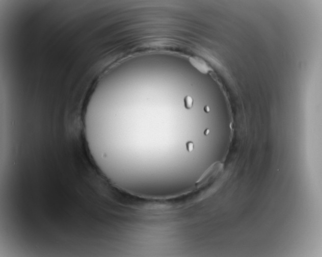 X0000089891073200707192010