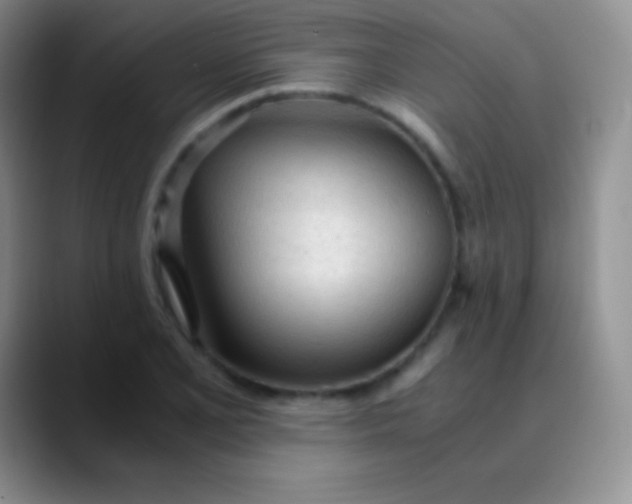 X0000089891077200707192010