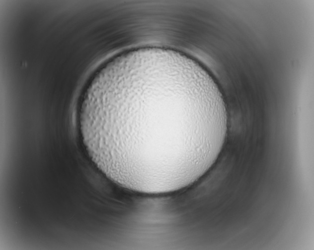 X0000089891078200707192010